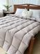Одеяло бамбук (ОДА) &mdash; легкое, антибактериальное, всесезонное Вариант 3 BLANKET-BAMBOO-ODA-3 фото 1