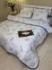 Одеяло всесезонное &laquo;Эко-пух&raquo; &bull; микрофибра &bull; Белое с тёмным кантом BLANKET-ECO-DOWN-MICROFIBER-DARK-EDGE фото 1